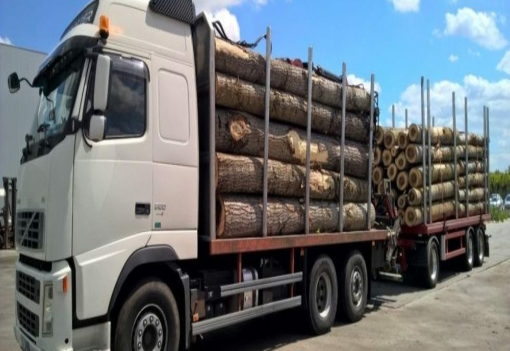 Material lemnos confiscat și sancțiuni în valoare de 10.000 lei aplicate de polițiști