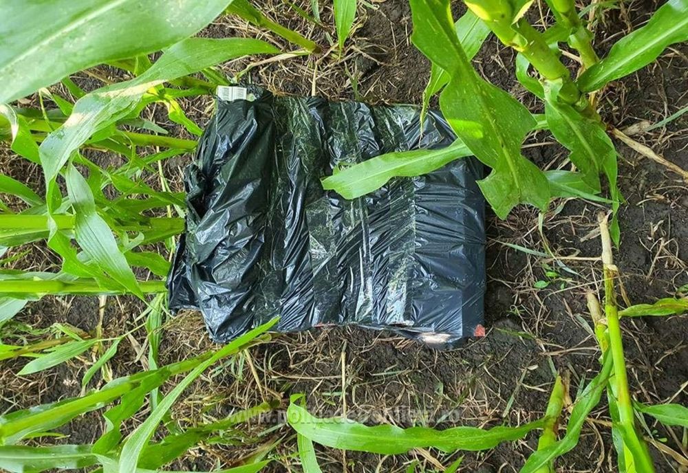 Ţigări confiscate dintr-un autoturism oprit în trafic de poliţiştii de frontieră suceveni