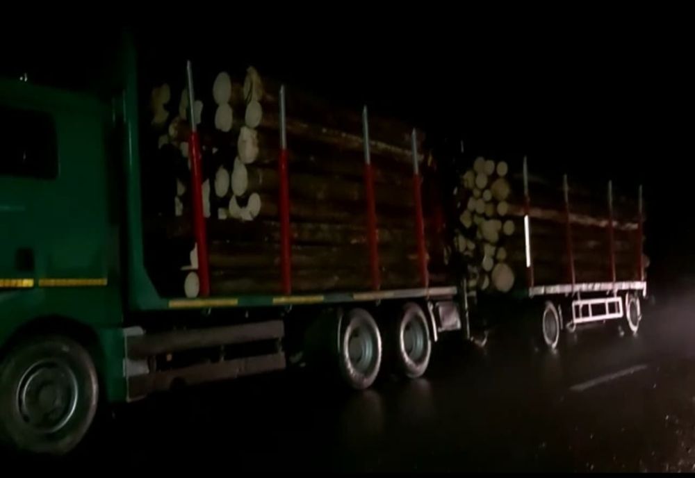 Transport ilegal de lemne oprit de polițiști. Autovehiculul în valoare de 35.000 de euro, indisponibilizat