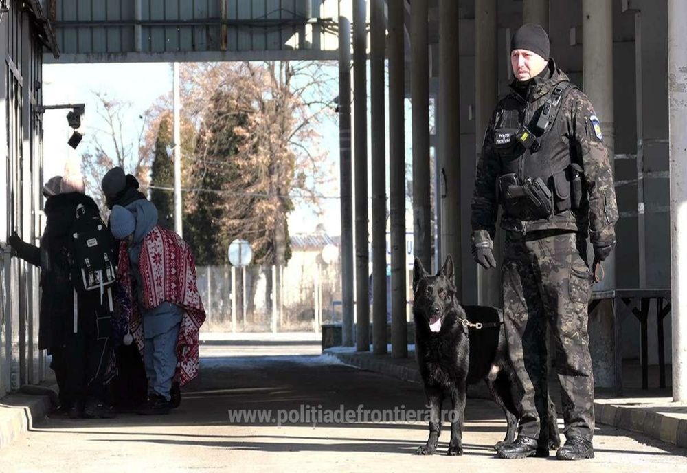 Dus la închisoare direct din vamă
