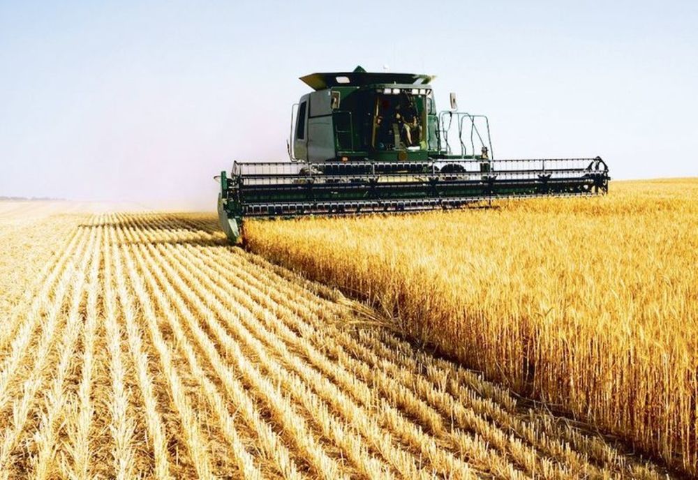 Revoltă totală într-o localitate din Suceava: oamenii îl acuză pe primar că i-a lăsat fără terenurile agricole