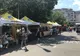 Ciobani și sute de oi, captivi în mijlocul apelor, la Valea Moldovei FOTO