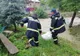 Cod galben de inundații pe râurile Suceava și Moldova până luni dimineață