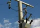 Tragedie. Un pădurar de la Ocolul Silvic Pojorâta a murit electrocutat pe Transrarău