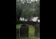 VIDEO Zece gospodării au fost inundate, joi seară, la Găinești