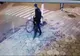 Hoț de biciclete, căutat cu ajutorul rețelelor de socializare VIDEO