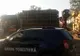 Amenzi în valorea de 186.000 de lei aplicate de Garda Forestieră Suceava în cursul lunii septembrie