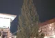 Bradul de Crăciun a fost instalat vineri în centrul Sucevei FOTO