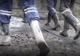 Accident de muncă la mina Crucea. Un miner a ajuns la spital