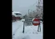 FOTO VIDEO Casă împodobită ca în povești, într-o localitate din Bucovina