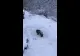 Incendiu la un bloc din municipiul Suceava. Mai multe pesoane au fost evacuate VIDEO