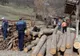 Amenzi în valoare de peste 130.000 lei și material lemnos confiscat