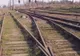 Doi frați au fost prinși în timp ce furau plăci de beton de la calea ferată