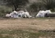 Accident rutier cu trei victime în zona restaurantului Brădet din municipiul Suceava FOTO