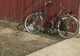 Biciclist accidentat grav după ce nu a acordat prioritate unei mașini