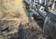O țigără aprinsă aruncată dintr-un tren a provocat un incendiu la pădurea de pe raza localității Costâna FOTO