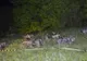 Zece focuri de armă trase de polițiștii de frontieră la Straja, în timp ce urmăreau contrabandiști de țigări