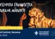Festivalul Luminii, sâmbătă, în parcul central din Suceava