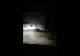 VIDEO Primele imagini cu ursoaica cu pui care a speriat locuitorii stațiunii Câmpulung Moldovenesc