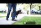 Casă cuprinsă de flăcări la Iacobeni. Proprietarul a avut nevoie de îngrijiri medicale VIDEO