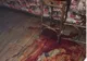 Agent de pază înjunghiat în fața unui bar din Fălticeni VIDEO