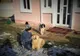 Câine salvat de pompieri dintr-o fântână adâncă de șapte metri FOTO 