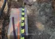 Țigări de contrabandă de peste 80.000 de lei găsite de polițiștii de frontieră abandonate la Ulma FOTO