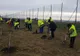 S-a dat startul campaniei de plantare de copaci în județul Suceava FOTO