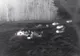 Tineri din Pătrăuți prinși cu ajutorul camerelor de termoviziune în timp ce făceau grătar pe un câmp din localitate VIDEO