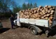 Un bărbat din Sucevița a fost prins de jandarmi transportând material lemnos fără acte FOTO