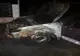 Doi copii s-au jucat cu focul într-un autoturism și au provocat un incendiu