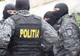 13 percheziții în județele Suceava și Arad la contrabandiști de țigări VIDEO
