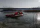 Lebede salvate de pompierii suceveni