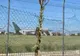 Anchetă la Aeroport: Un pasager a ajuns la avion fără să mai treacă prin filtrele de securitate
