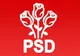 SURSE: PSD nu va vota un guvern minoritar. Ce VARIANTE sunt luate în calcul