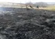 Anexă gospodărească făcută scrum și 15 hectare dee vegetație arse