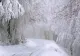 Vremea 9 decembrie - Burniță și ploi slabe - În zonele montane ninge