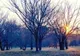 VREMEA 9 IANUARIE. TEMPERATURILE RĂMÂN NEOBIȘNUIT DE RIDICATE 