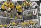 „STEJARII”, REUNIȚI PENTRU SEMIFINALA EUROPEANULUI DE RUGBY