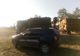 FOTO. Amenzi și confiscări de material lemnos, în urma unor controale ale Gărzii Forestiere Suceava