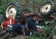 Tragedie la Gălănești. Un bărbat a murit după ce a fost prins sub un tractor