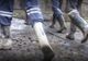 Accident de muncă la mina Crucea. Un miner a ajuns la spital