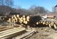 Autoturism distrus de un incendiu. Flăcările s-au extins și la o altă mașină VIDEO
