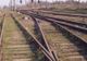 Doi frați au fost prinși în timp ce furau plăci de beton de la calea ferată