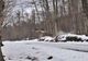 VIDEO Imagini inedite cu salturi spectaculoase ale căprioarelor peste un drum forestier, surprinse la Marginea