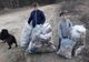 Cei doi frați care au adunat saci de gunoaie de pe o stradă din Vatra Dornei, consilieri onorifici ai ministrului Mediului FOTO