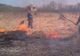 20 de amenzi aplicate de pompieri persoanelor care au incendiat vegetația uscată