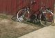 Biciclist accidentat grav după ce nu a acordat prioritate unei mașini