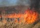 Cinci incendii de vegetație uscată produse în ultimele 24 de ore