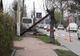 O dubiță scăpată de sub control s-a izbit într-un stâlp și un copac. Șoferului i s-a făcut rău la volan FOTO